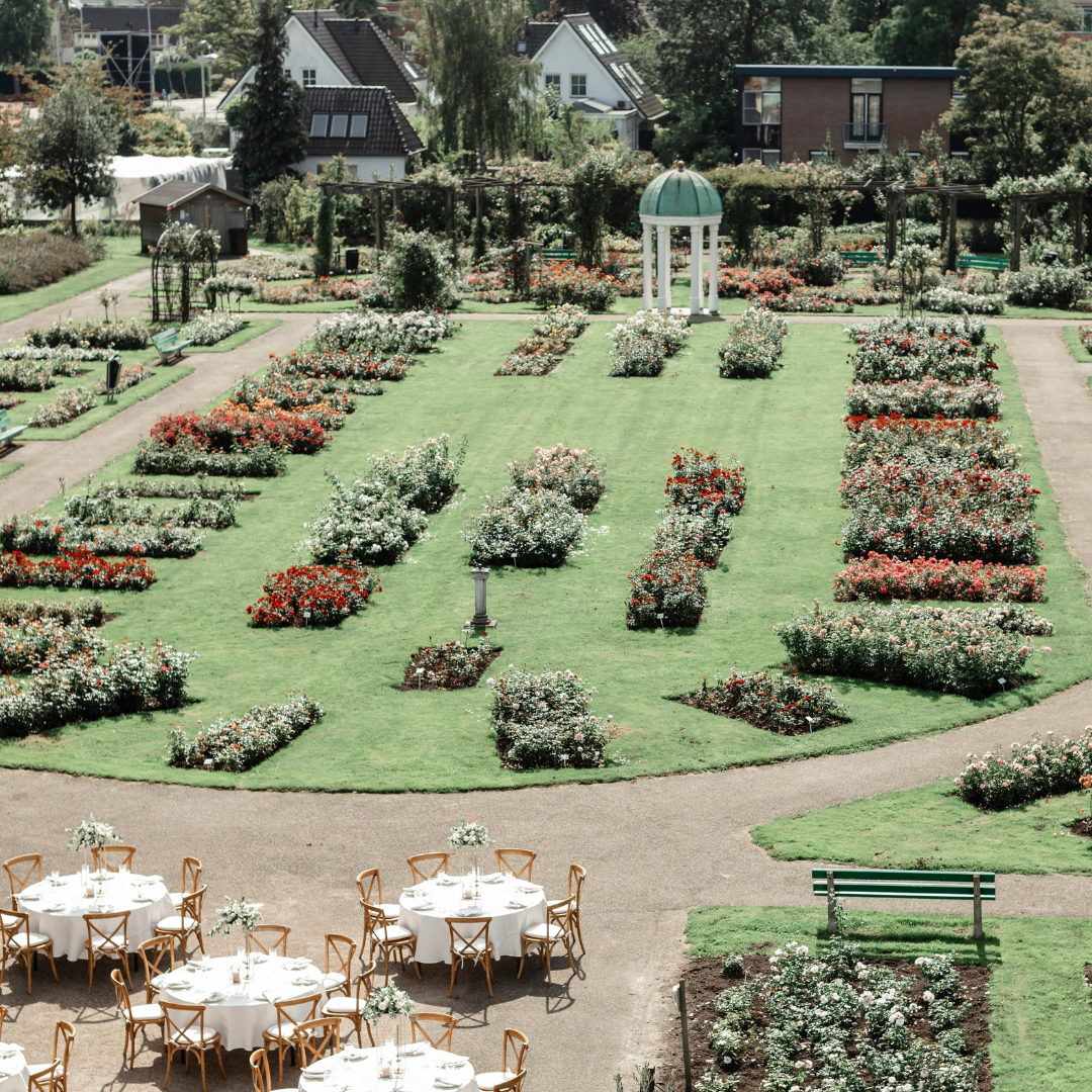 Rosarium tuin